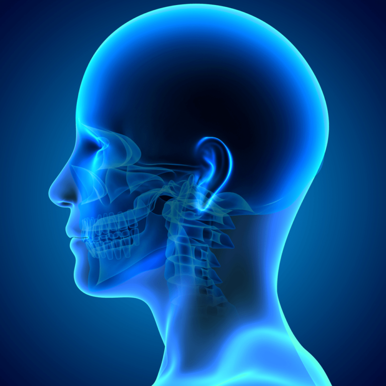 Head and Neck Hytham Nafady